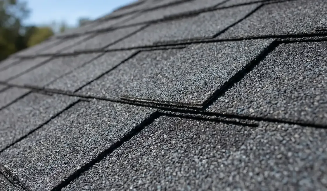 Close view of asphalt shingles