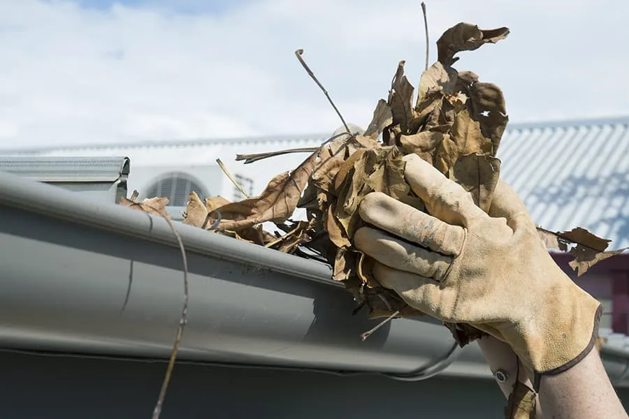 Gutter Maintenance