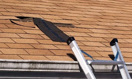 Ladder leaning against shingled roof.