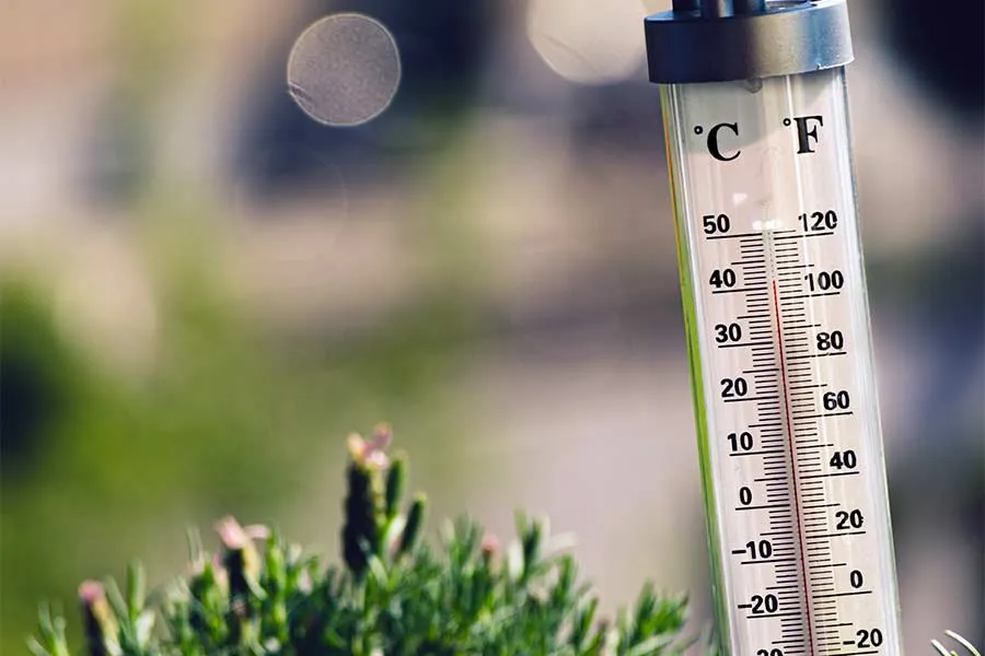 Thermometer reading over 100 Degrees F