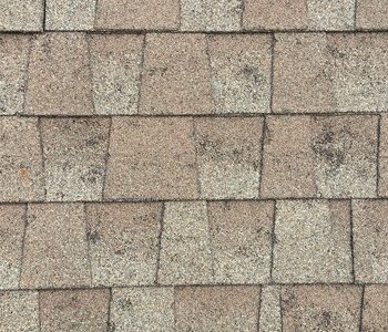 Storm Damaged Shingles