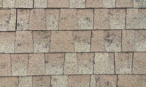 Storm Damaged Shingles