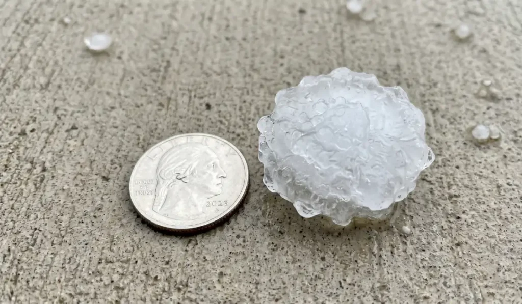 After the Storm - Your Complete Roof Damage Checklist 2 Hailstone measured against a quarter showing insurance-relevant size